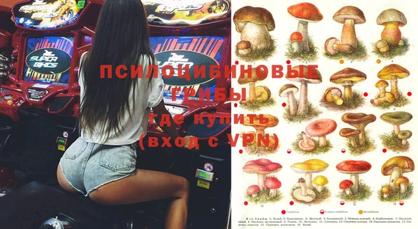 МДПВ Абдулино