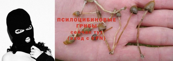 МДПВ Абдулино