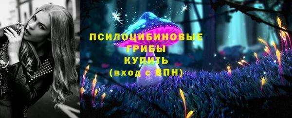 хмурый Абинск