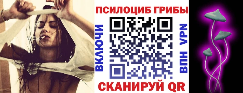 Псилоцибиновые грибы прущие грибы Дальнереченск